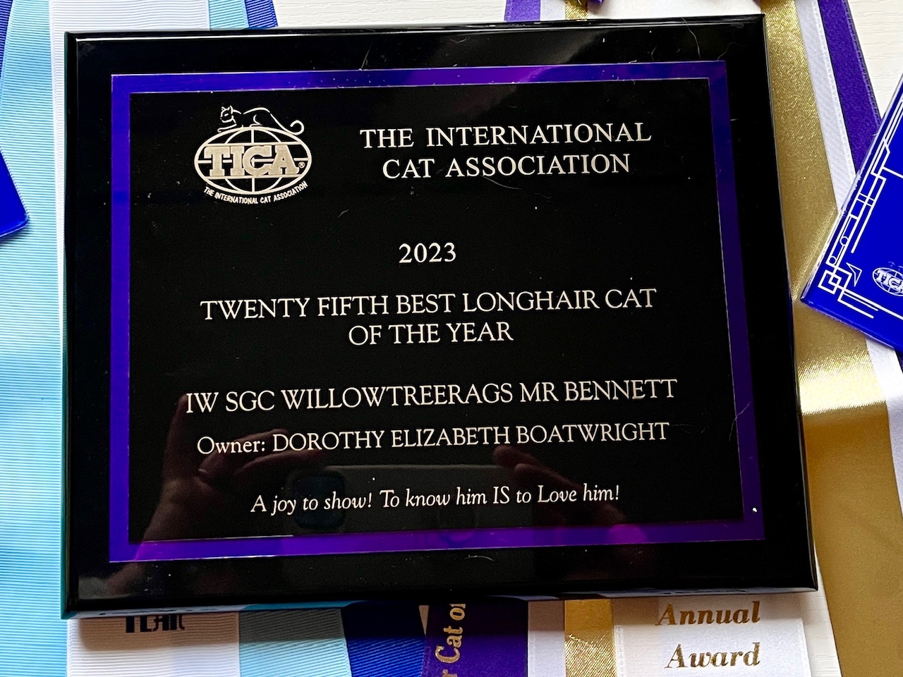 TICA INTERNATIONAL WINNER 2023 25TH BEST LONGHAIR CAT OF THE YEAR