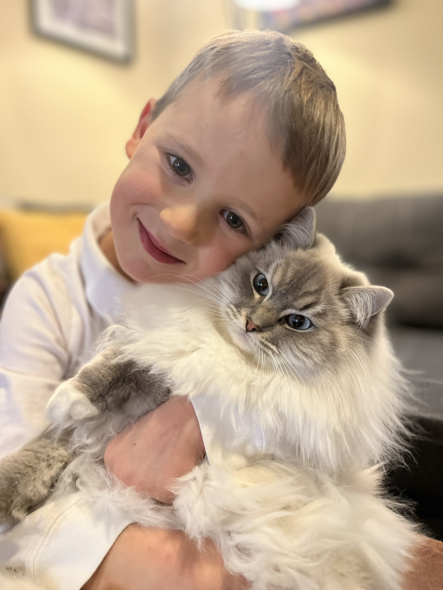 boy holding his ragdoll cat with lots of fluff